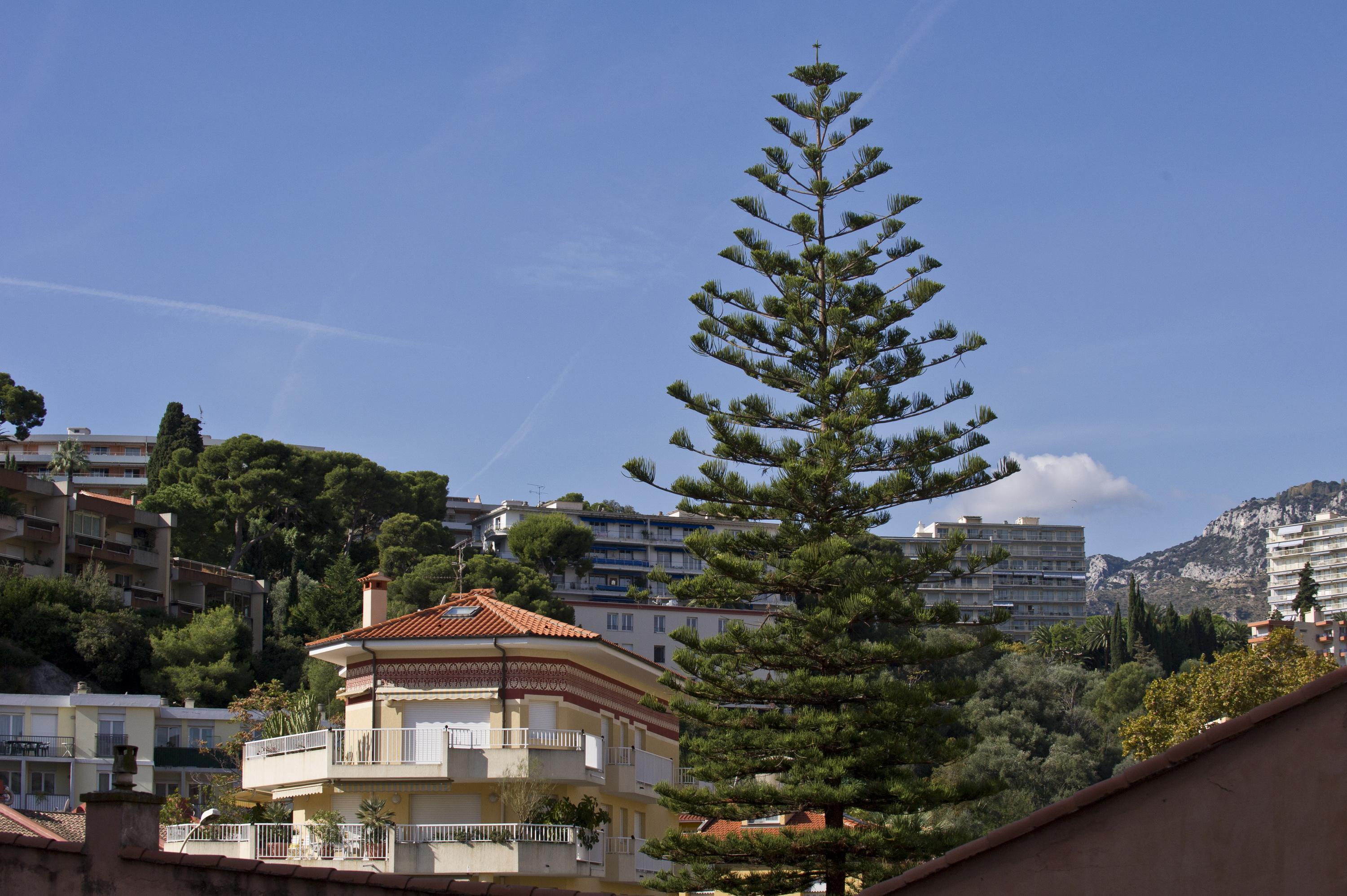 Hotel Victoria Roquebrune-Cap-Martin Exterior foto